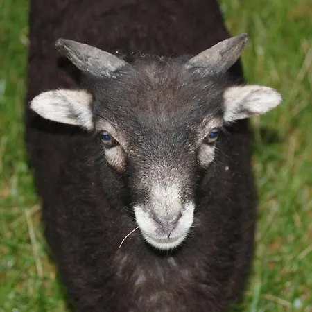 Apartamento Wernecke