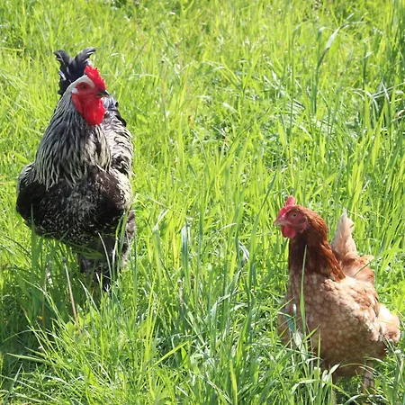 Wernecke Apartamento *