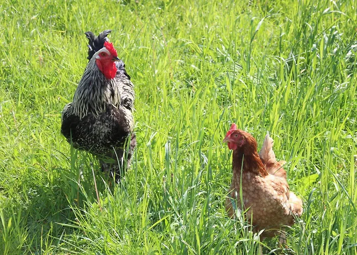 Wernecke Apartamento *