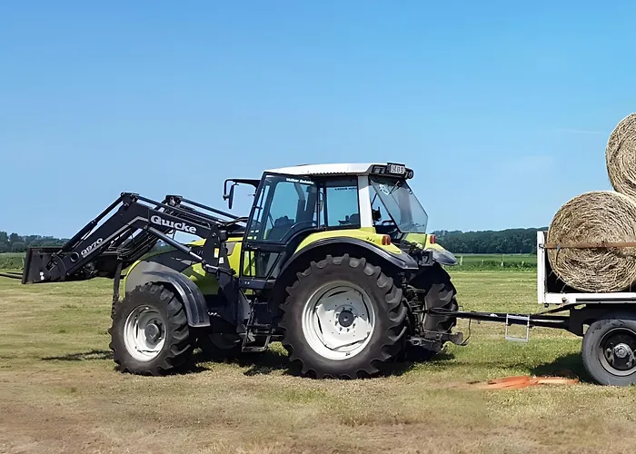 Apartamento Wernecke *